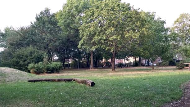 istock Free park playground lawn and tree line 1021686048
