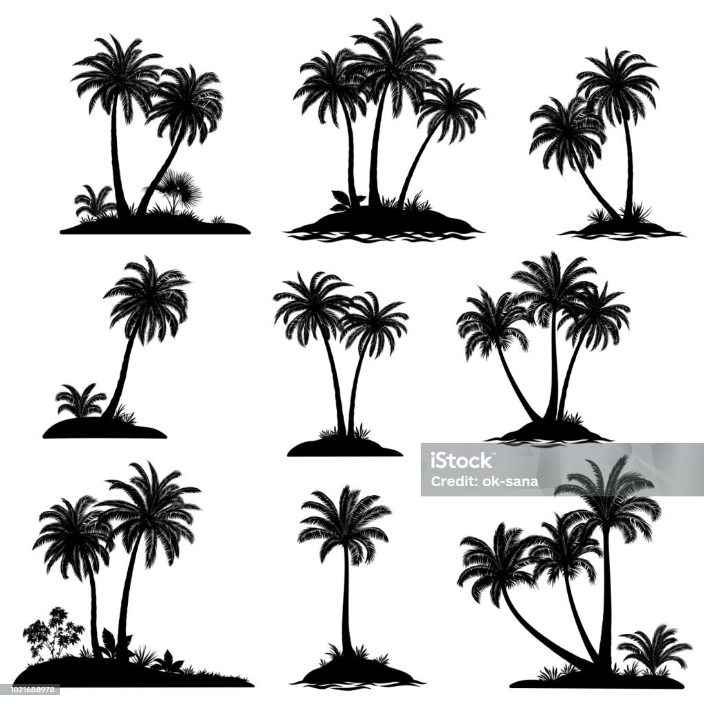 Inseln mit Palmen Bäume Silhouette - Lizenzfrei Palme Vektorgrafik