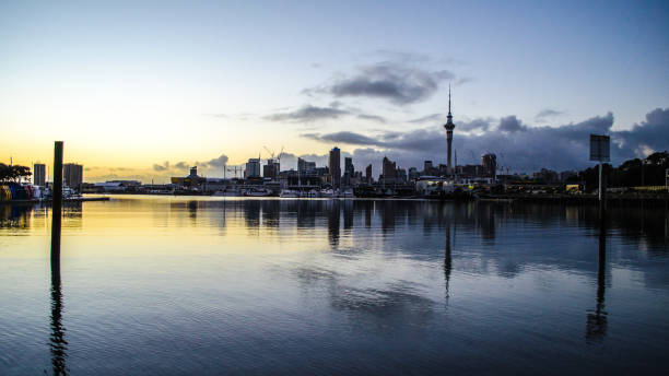 istock Auckland City View 1021694990