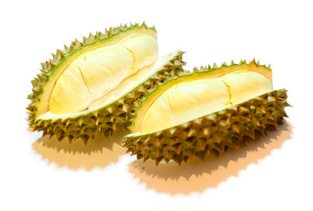 istock The king of fruit from Thailand. 1021697636