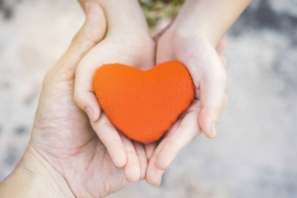 istock Small kid hands holding heart 1021698274