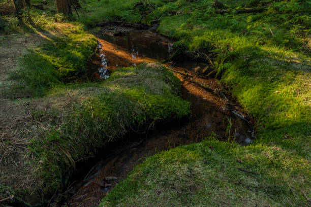 istock Miluscin waterfall on Bily creek in summer nice morning 1021703052