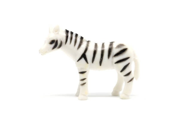 istock Zebra model isolated on white background, animal toys plastic 1021703702