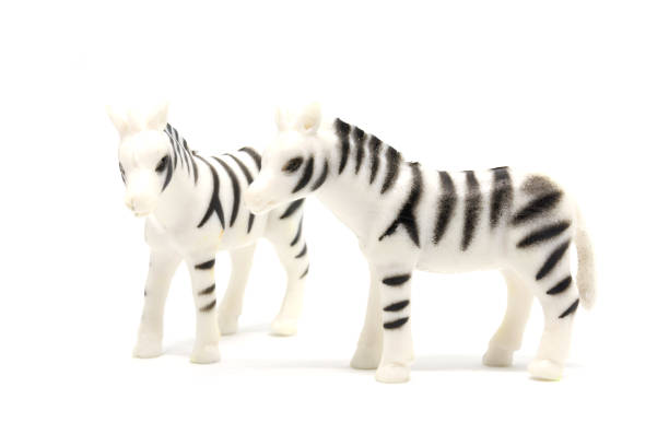 istock Zebra model isolated on white background, animal toys plastic 1021703710