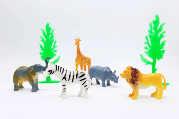 Photo of animal african model isolated on white background, animal toys plastic