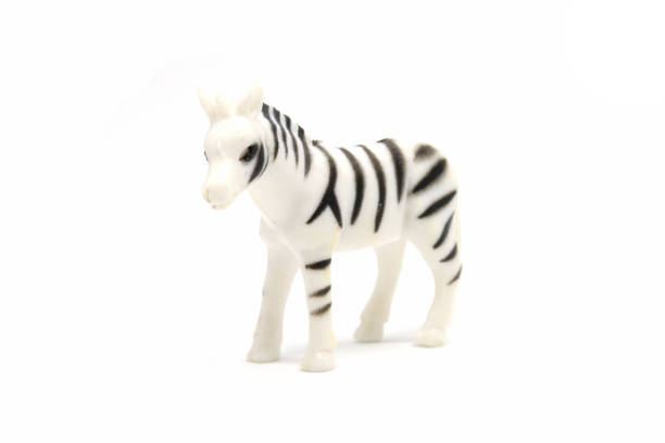 istock Zebra model isolated on white background, animal toys plastic 1021703730