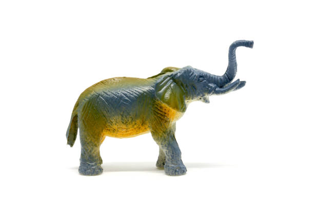 istock Elephant model isolated on white background, animal toys plastic 1021703734