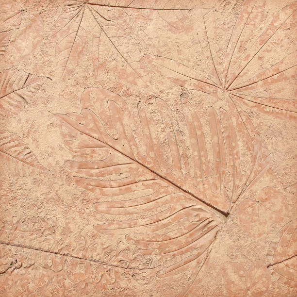 istock marks of leaf on the concrete 1021703936