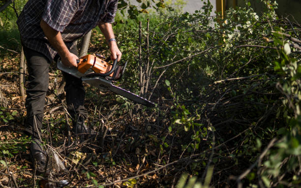 istock Lumberjack logger worker in cutting firewood timber tree in forest with orange chainsaw. 1021725514