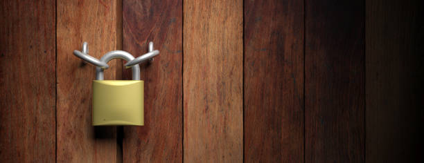 istock Padlock on wooden door background. 3d illustration 1021728350