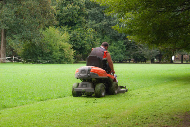 istock Gardener cutting grass in meadow 1021730608