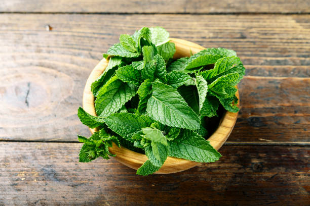 istock Fresh mint in a plate on a wooden background. decor for refreshing drinks and desserts. 1021734592