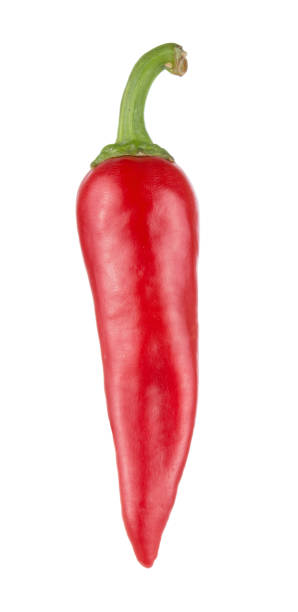 istock One Red hot chili pepper isolated on white background 1021735790
