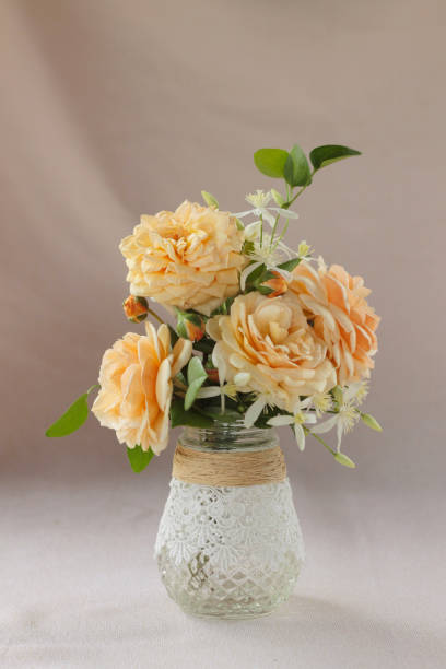 istock Beautiful rose flower. 1021749652