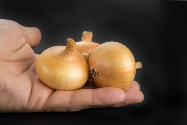 istock Onions on the hand and black background 1021750430