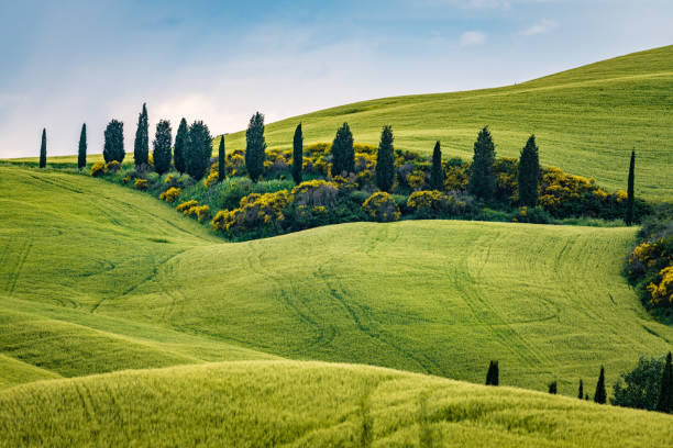istock Sunny landscape from Val d'Orcia, Tuscany, Italy 1021754858