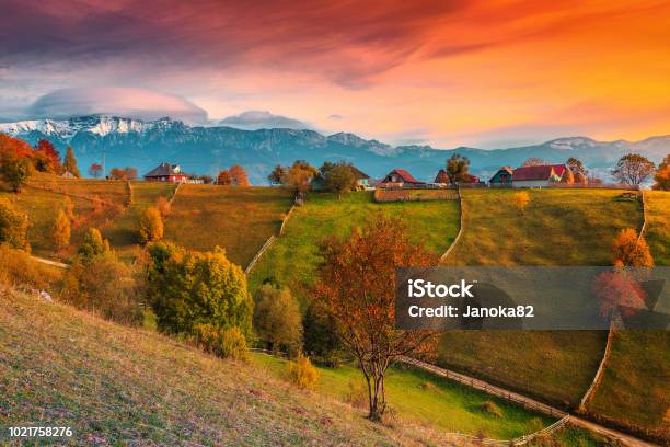 Otoño Paisaje Rural Alpino Cerca De Brasov Pueblo De Magura Transilvania Rumania Foto de stock y más banco de imágenes de Rumanía