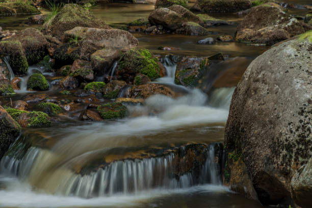 istock Rolava river in summer hot sunny day 1021772830