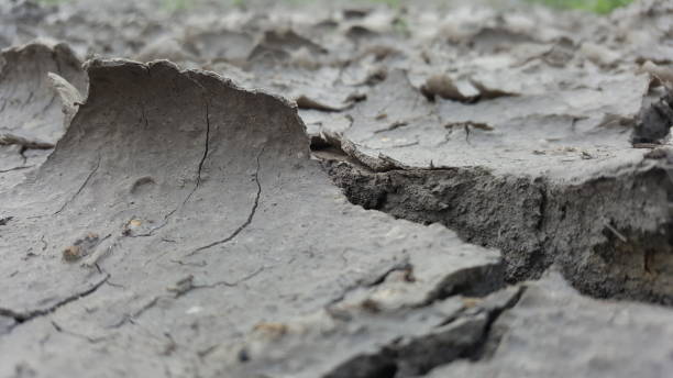 istock large crack in dried soil 1021778852