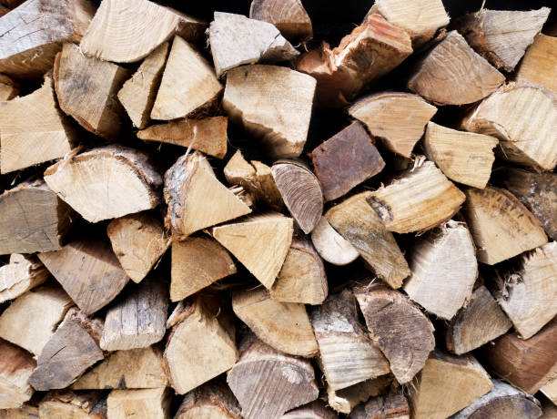 Abstract Background : Pile of firewood. Cross section of firewood. stock photo