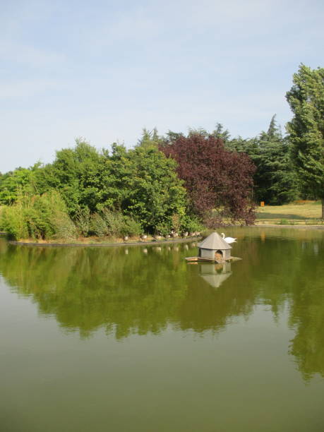 istock Public park Pond  wild geese  Paris region 1021782262