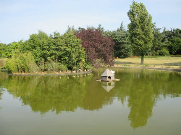 istock Public park Pond  wild geese  Paris region 1021782346