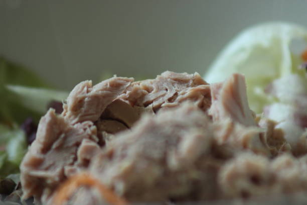 istock Green salad with tuna 1021790470