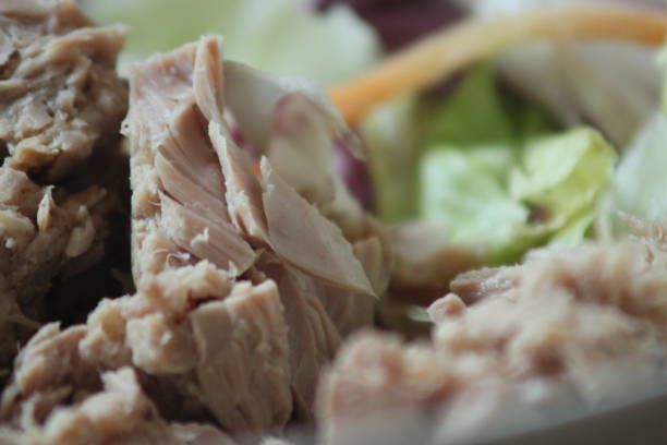 istock Green salad with tuna 1021790492