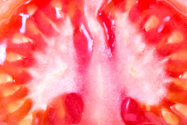 istock The middle of a tomato 1021794034