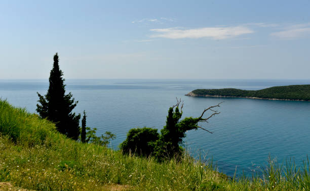 istock Conifers on the beach and turquoise sea 1021794990