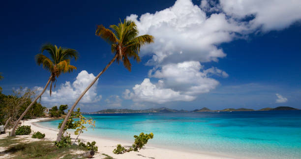 Pink Sands Beach in Harbor Island, Bahamas.