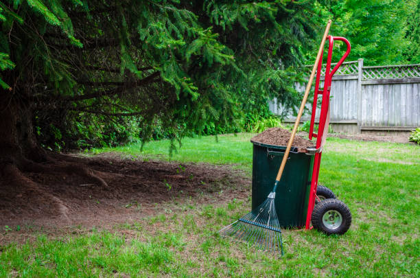 Photo of Pine needles filling a large pail on a red dolly with a lawn rake next to a large pine tree in a back yard