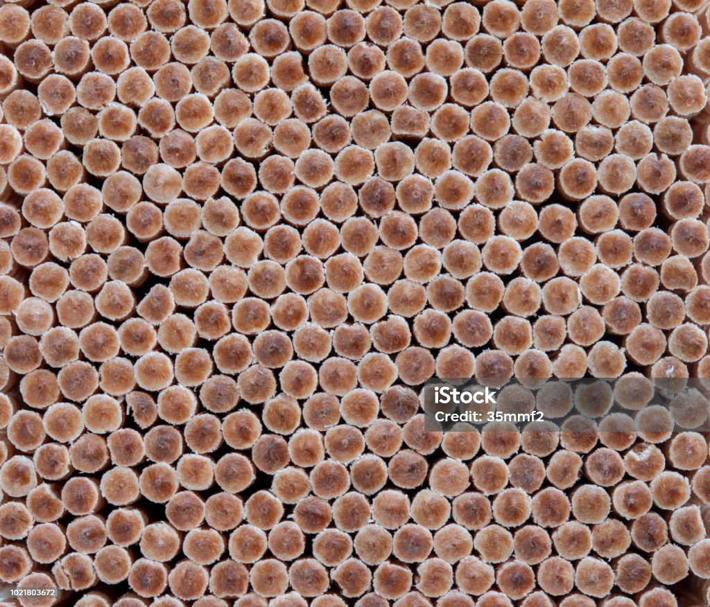 Sprade Round Patterns With Round Trees Spread Out Background Stock Photo - Download ...