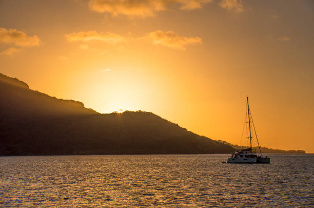 istock Golden sunset with catamaran 1021805858