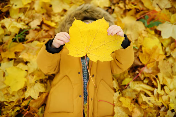 istock Little boy during stroll in the forest at sunny autumn day 1021814766