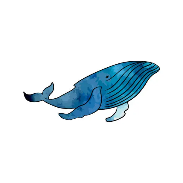 Vector illustration of Colorful whale on a transparent background. Vektor.