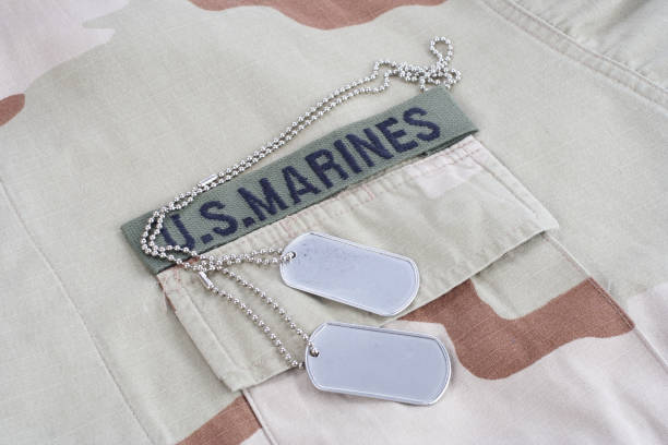 istock US MARINES branch tape with dog tags on desert camouflage uniform 1021833184