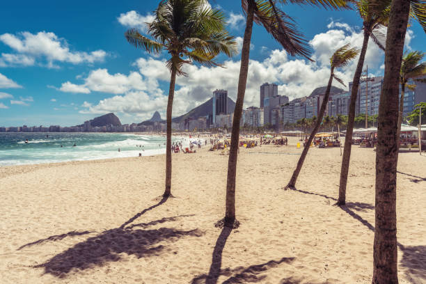 istock Copacabana Beach with palm shadows on the sand, Rio de Janeiro 1021840986