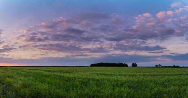 istock Germany, XXL Dawning fields landscape panorama 1021844394
