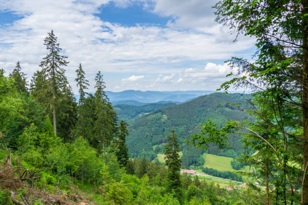 Germany, Natural black forest countryside on mountain top