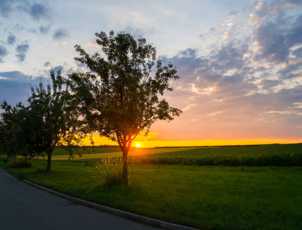 istock Germany, Warm orange sunlight of sundown over farmland 1021844524