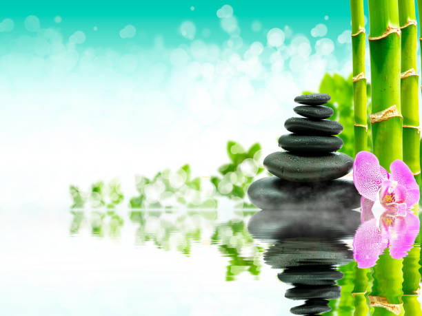 istock Zen basalt stones with green bamboo on water. Spa and Wellness concept. 1021844902
