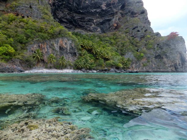 istock Samana Coast, Dominican Republic 1021850620