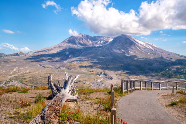 Mount St. Helens, WA-USA Mt. Saint Helens National Volcanic Monument
WA-USA mount st helens stock pictures, royalty-free photos & images