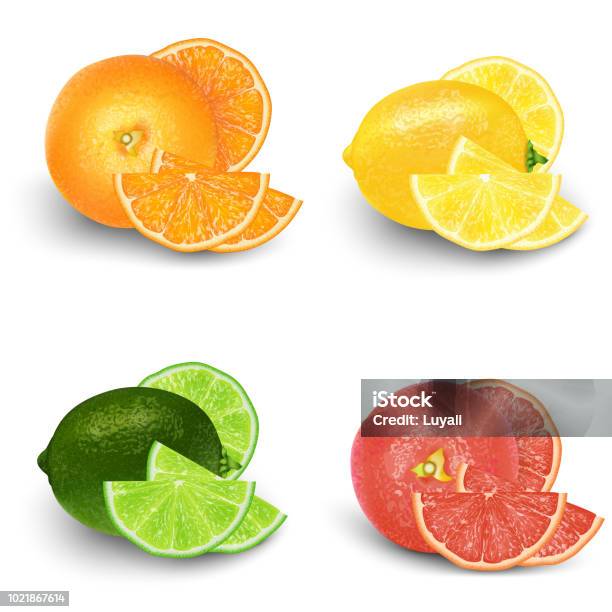Lemon Lime Orange Grapefruit Fresh Fruit Set Realistic 3d Vector Illustration Set Isolated Design Elements For Packaging Product Stock Illustration - Download Image Now