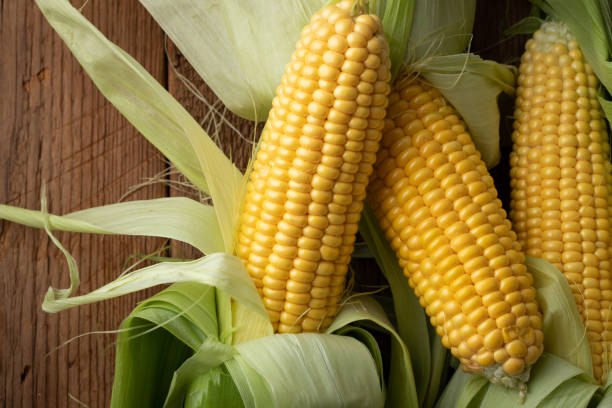 istock Fresh corn on cobs on rustic wooden table, closeup. Top view 1021868128