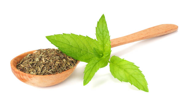 istock Fresh mint leaves with dried mint leaves isolated on white background 1021873950