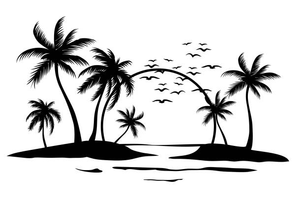 illustrations, cliparts, dessins animés et icônes de lever du soleil entre les palmiers - palm leaves