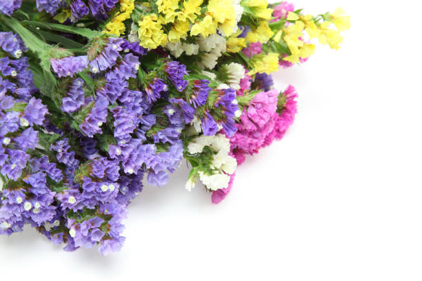 istock bouquet of Limonium in a white background 1021892366