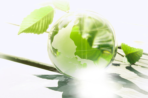 green globe world eco concept, natural green leaf